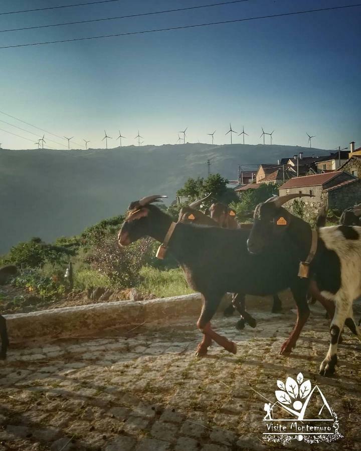 Casa Celeste Castro Daire Dış mekan fotoğraf