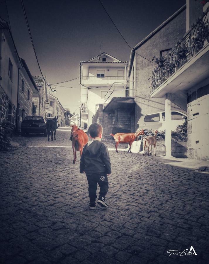 Casa Celeste Castro Daire Dış mekan fotoğraf